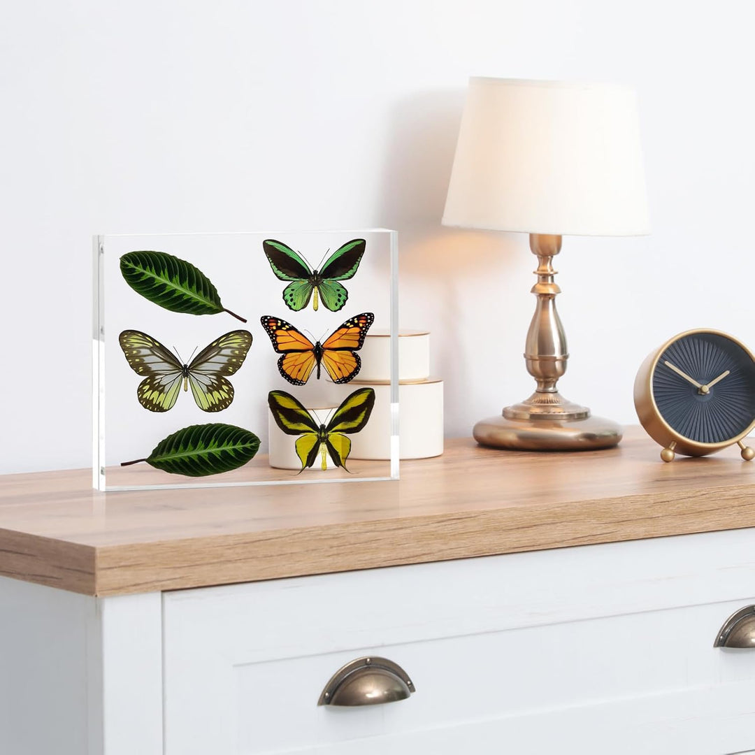 TWING 6 Pack 8 x 10 Acrylic Picture Frames, Magnetic Lucite Clear Picture Frame, 8 by 10 Magnetic Photo Frame Self Standing Double Sided, Gift